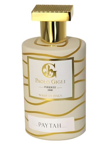 Paytah - پایته