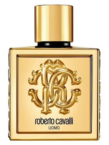 Roberto Cavalli Uomo Golden Anniversary - روبرتو کاوالی اومو گلدن انیوررسری