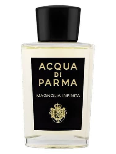 Magnolia Infinita - مگنولیا اینفینیتا