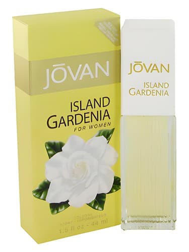 Island Gardenia - آیلند گاردنیا