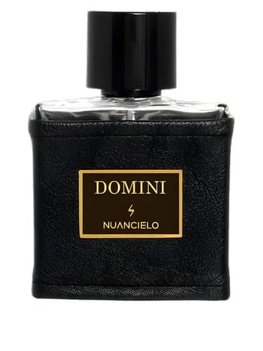 Domini