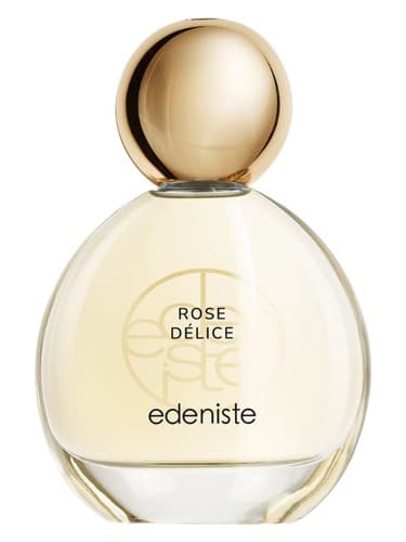 Rose Délice - رز دلیس