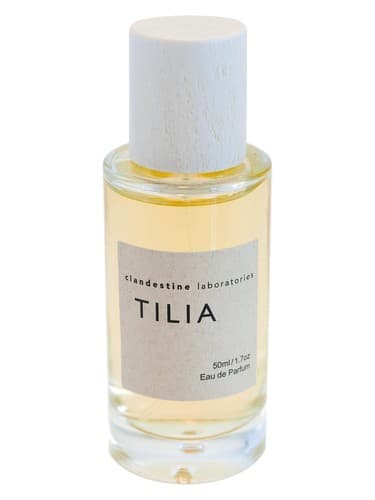Tilia - تیلیا
