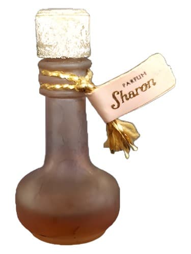 Sharon - شارون