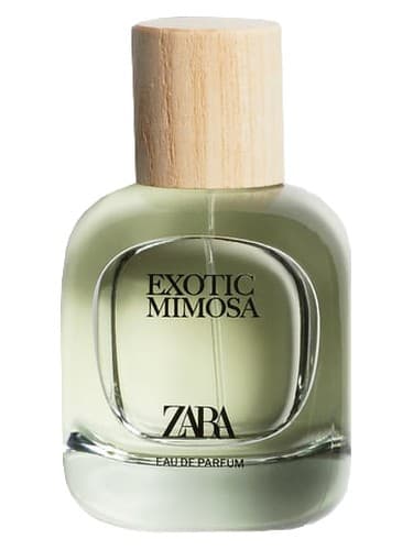 Exotic Mimosa - اگزوتیک میموزا