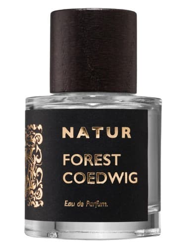 Forest - جنگل