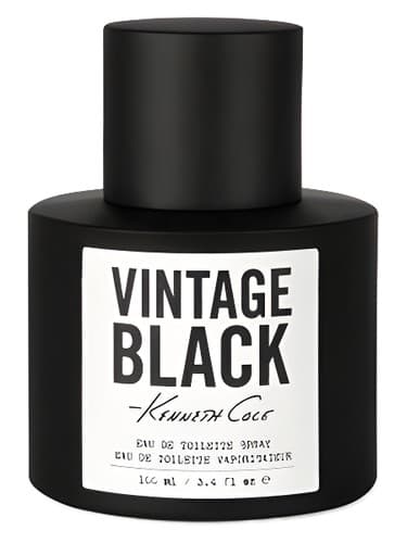 Kenneth Cole Vintage Black - کنت کول وینتیج بلک