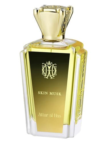 Skin Musk - اسکین ماسک