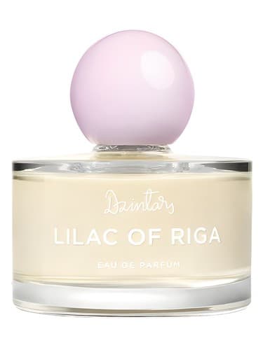 Lilac of Riga (Рижская Сирень, 2022) - یاس وایولت ریگا (Рижская Сирень، 2022)