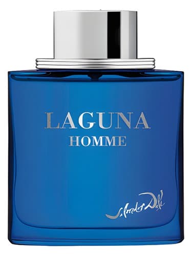 Laguna Homme - لاگونا هوم