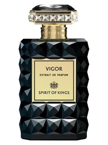 Vigor - قدرت
