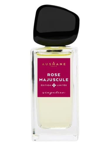 Rose Majuscule - رز ماژوسکول