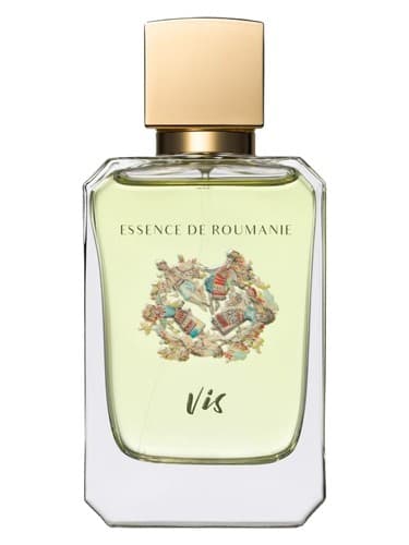 Vis