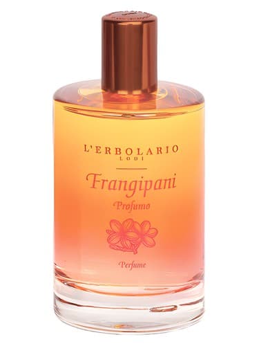 Frangipani - فرانجی پانی
