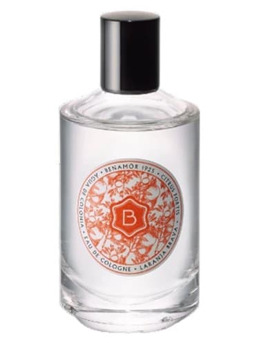 Laranja Brava