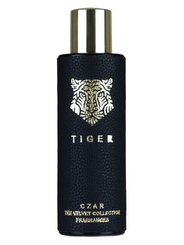 Tiger X Aslan Gülçiçek