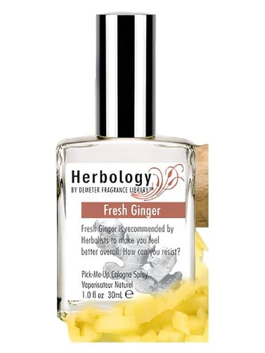 Fresh Ginger