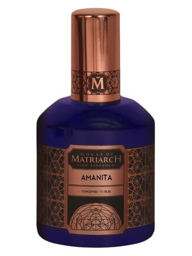 Amanita - آمانیتا
