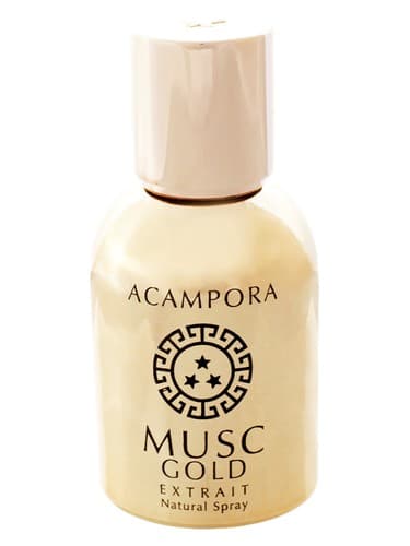 Musc Gold – Extrait de Parfum