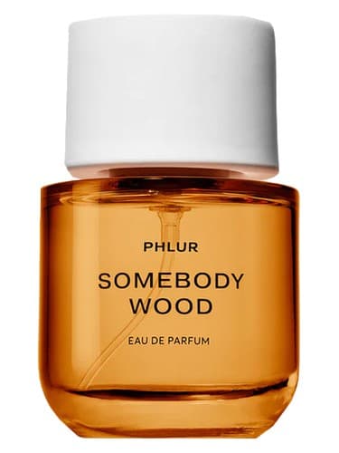 Somebody Wood - سامبادی وود