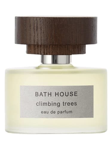 Climbing Trees - بالا رفتن از درختان