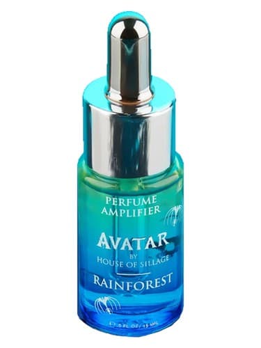 Rainforest - جنگل بارانی