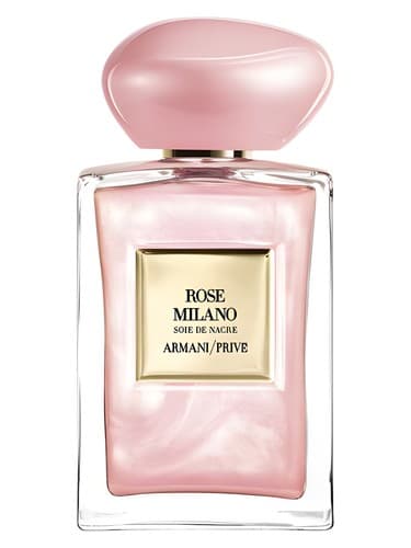 Rose Milano Soie de Nacre - رز میلانو سوا د ناکر