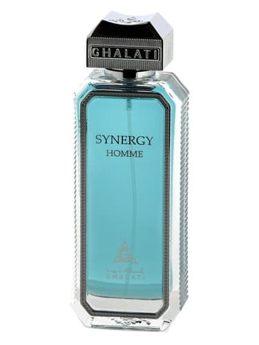 Synergy Homme 