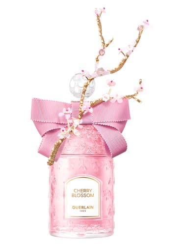 Cherry Blossom 2023 Millésime - چری بلوسوم 2023 میلیزیم