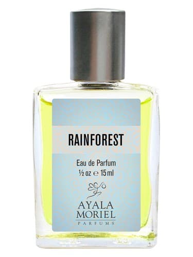 Rainforest