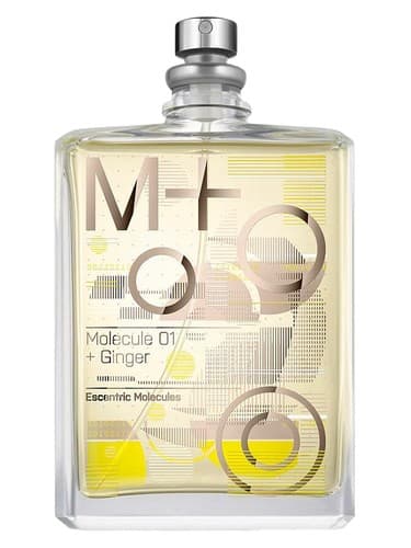 Molecule 01 + Ginger - مولکول ۰۱ + جینجر