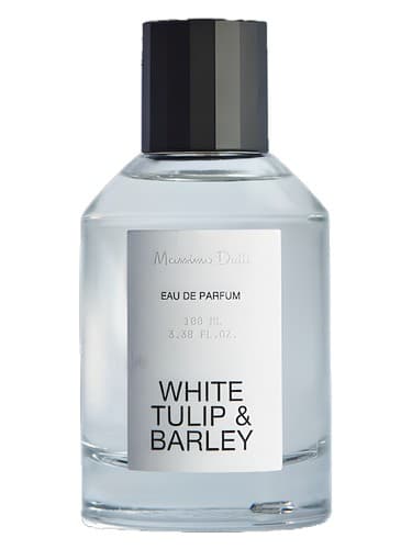 White Tulip & Barley - وایت تولیپ اند بارلی