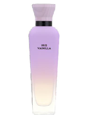 Iris Vainilla - آیریس وینیلا