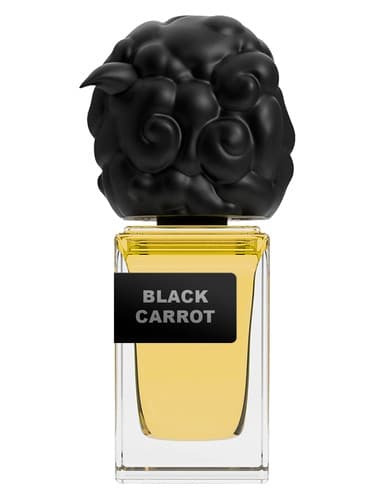 Black Carrot - هویج بلک