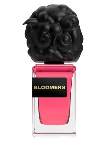 Bloomers - بلومرها