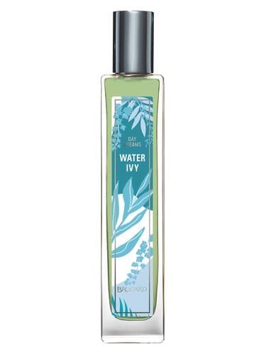 Water Ivy - پیچک بلو