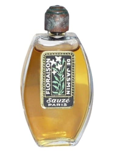 Floraison de Jasmin - فلورایسون دو یاسمین