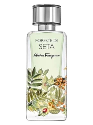 Foreste di Seta - فورسته دی ستا