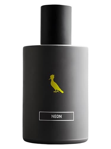 Neon - نئون