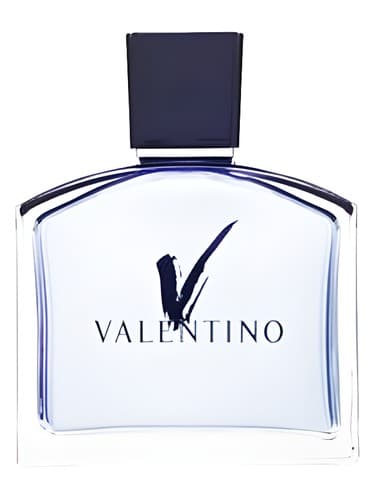 V pour Homme - وی پور هوم