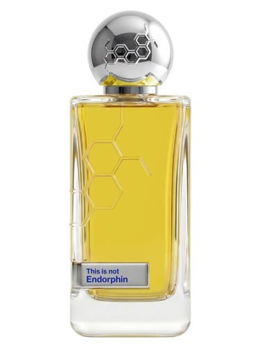 This is Not Endorphin - دیس ایز نات اندورفین