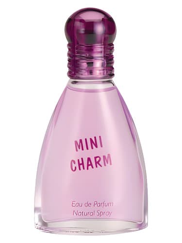 Mini Charm - مینی جذابیت