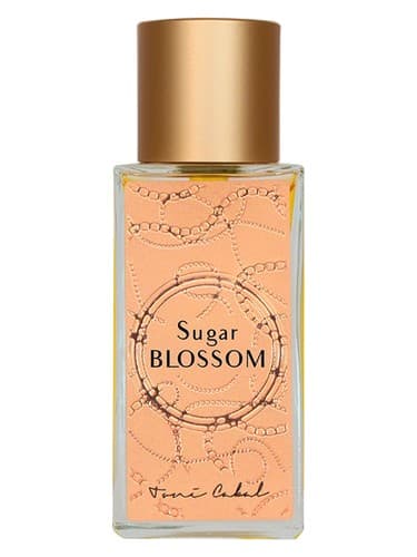 Sugar Blossom Gold Supreme - شکر شکوفه طلا عالی