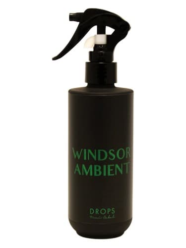 WINDSOR AMBIENT