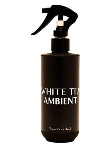 WHITE TEA AMBIENT - محیط تی وایت