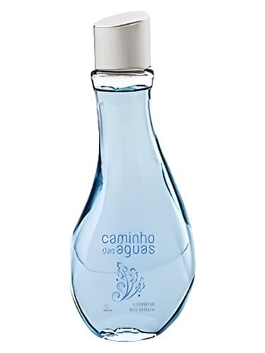 Lavanda dos Sonhos - لاواندا دوس سونهوس