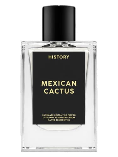 Mexican Cactus - مکزیکن کاکتوس