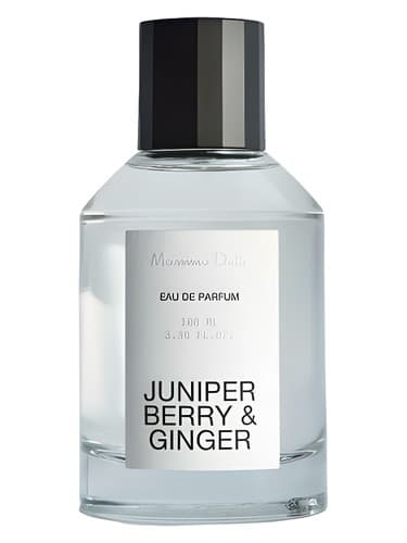 Juniper Berries & Ginger - توت درخت عرعر و زنجبیل