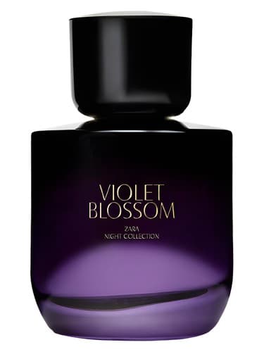 04 Violet Blossom - 04 ویولت بلوسوم