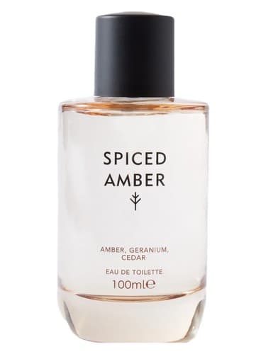 Spiced Amber - عنبر ادویه دار